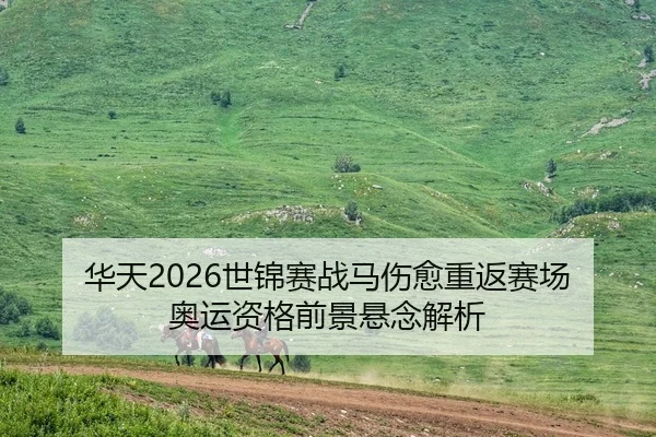 华天2026世锦赛战马伤愈重返赛场 奥运资格前景悬念解析
